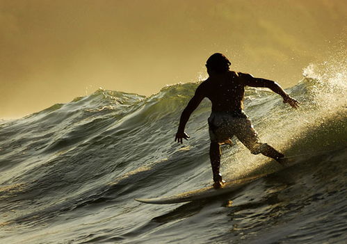 關(guān)于命運的著名詩句