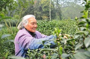 關(guān)于勞作農(nóng)耕的詩句