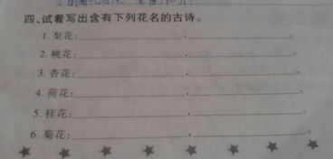 帶有梨花桃花杏花桂花菊花的古詩(shī)句