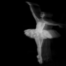 關于化繭成蝶的詩句