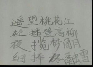 關(guān)于與人無法溝通的古詩句