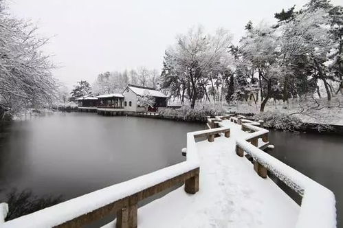 關(guān)于蘇大的詩句