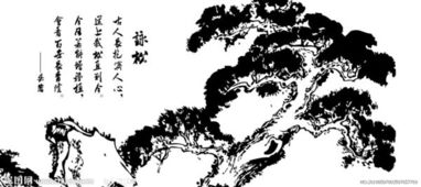 寫(xiě)關(guān)于松的詩(shī)句古詩(shī)詞
