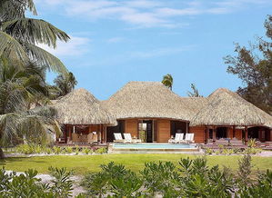 關(guān)于熱帶風(fēng)情的詩句