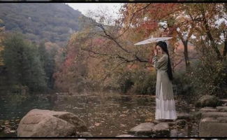 描寫秋露的古詩句