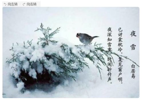 關(guān)于小學永雪的詩句