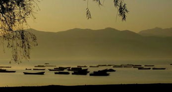 關(guān)于嵩縣的詩句