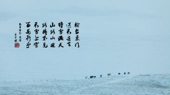 動靜相應(yīng)成趣的古詩句