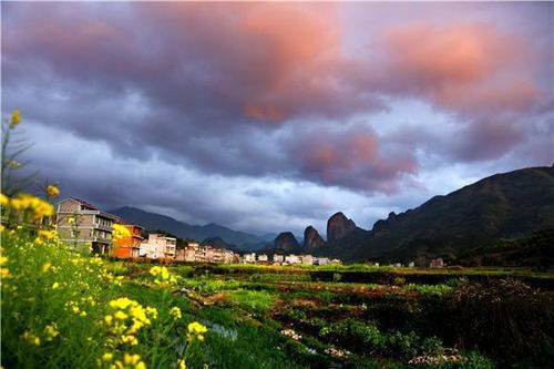 愛家鄉(xiāng)的的古詩詩句