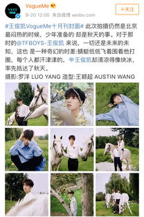 詩句,堅(jiān)韌,精神