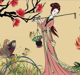 詩(shī)句,美貌,成語,才又