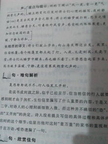 關(guān)于五級上冊的詩句的意思是什么