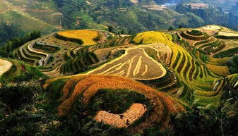 關于龍脊山的詩句