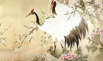 古詩贊美鳥的詩句有哪些