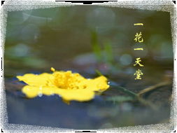 關(guān)于如若心清塵事遠(yuǎn)的詩(shī)句