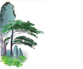 贊美松樹古詩100詩句