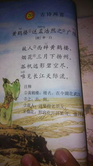 關(guān)于讀書的古詩句及意思是什么意思