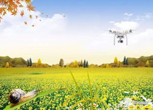 贊農(nóng)民豐收的古詩(shī)句