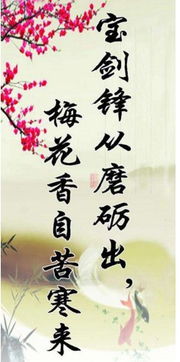 經(jīng)典勵志古詩句格言