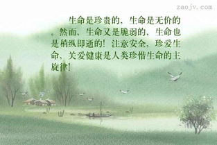 關(guān)于生命可貴的古詩句