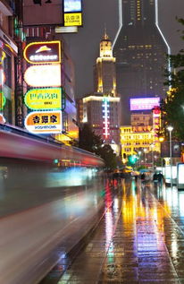 關(guān)于上海南京路的詩句