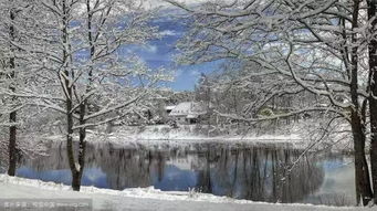 關(guān)于冬天家詩(shī)句有哪些