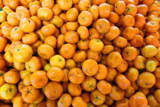 關(guān)于水果的詩(shī)句(著名)