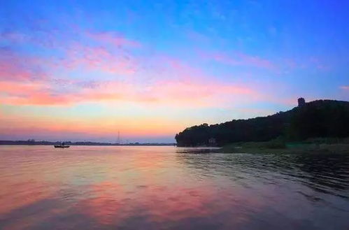 用古詩句來描寫柳樹