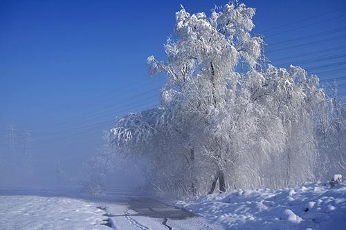 有關(guān)冬天的詩(shī)句古詩(shī)大全