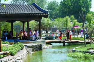 前門情古詩,古詩句唯美,勵志的古詩句