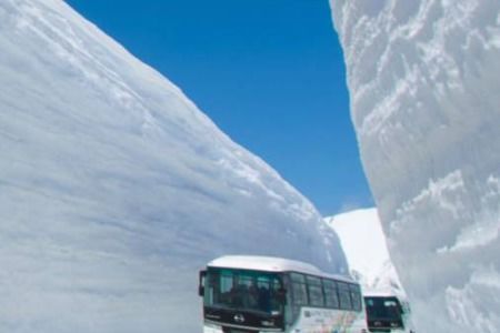 贊美冬雪的詩句古詩大全,贊美荷花的詩句古詩大全,贊美花的詩句古詩大全