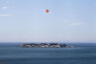 關(guān)于libai生命的古詩句