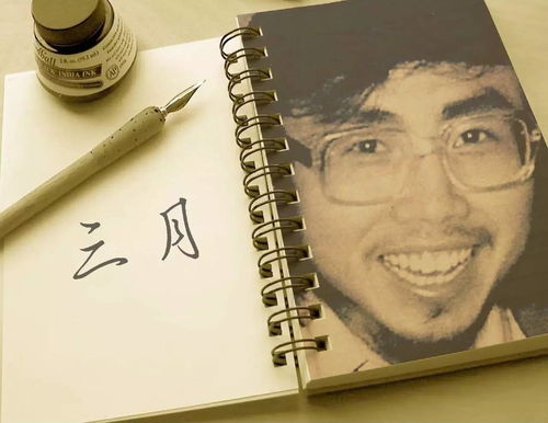 海子關(guān)于理想的詩(shī)句