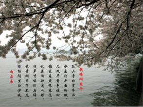 寫關(guān)于四園風(fēng)光的詩句