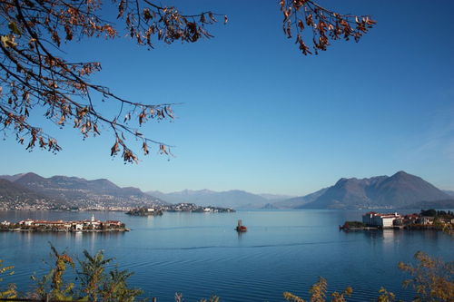 描寫月花的詩句古詩