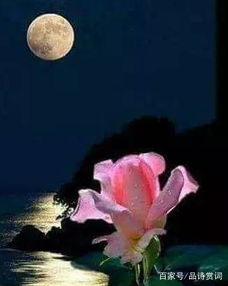 是用動靜結(jié)合的古詩句