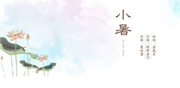 小暑的詩(shī)句古詩(shī)