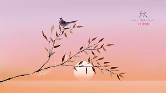 古詩詞,詩句,描寫,春天