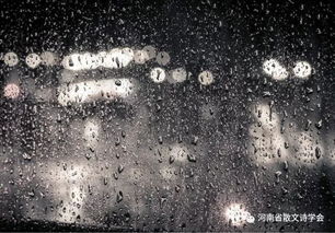 冬雨,古詩(shī)詞,詩(shī)句,于雪