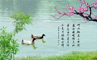 十個關(guān)于顏色的詩句