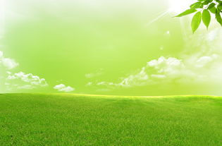 描寫春天山間美景的古詩句