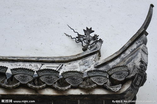 關(guān)于鳥(niǎo)屋檐的詩(shī)句