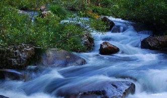 古詩(shī)水的詩(shī)句