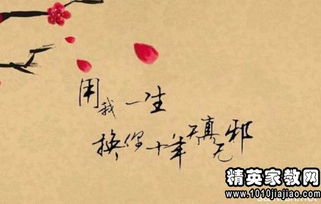 回憶校園青春的古詩句