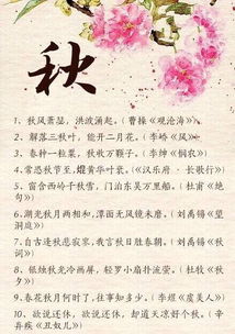 關(guān)于寫冬天花的詩句古詩