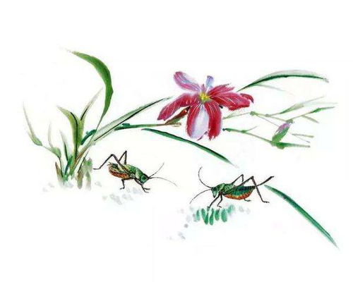 寫贊美魚的詩句古詩