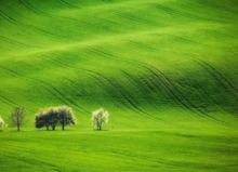 雄心壯志,古詩,詩句