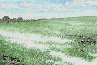 關于草的意象的詩句