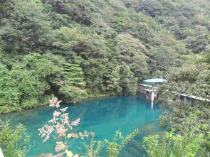 關(guān)于看到瀑布的詩(shī)句