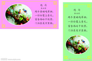 關于鳥的詞語和古詩句